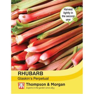 Thompson & Morgan Rhubarb 'Glaskin's Perpetual'