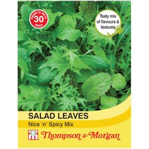 Thompson & Morgan Veg Salad Leaves Nice n Spicy Mixed
