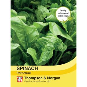 Thompson & Morgan Veg Spinach Perpetual