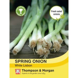 Thompson & Morgan Veg Spring Onion White Lisbon