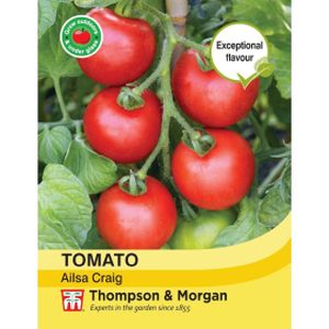 Thompson & Morgan Veg Tomato Ailsa Craig