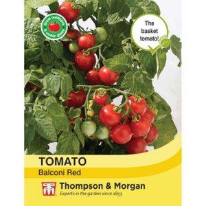 Thompson & Morgan Veg Tomato Balconi Red