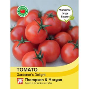 Thompson & Morgan Veg Tomato Gardeners Delight (Greenhouse and Outdoor)