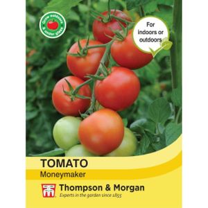 Thompson & Morgan Veg Tomato Moneymaker