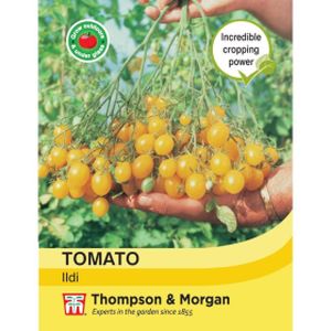 Thompson & Morgan Veg Tomato Ildi