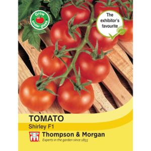 Thompson & Morgan Veg Tomato Shirley F1 Hybrid (Greenhouse)
