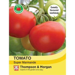 Thompson & Morgan Veg Tomato Super Marmande