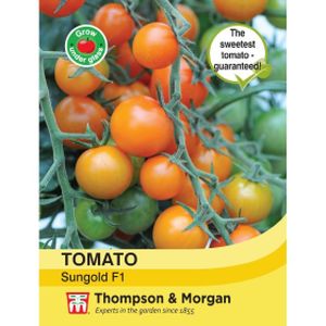 Thompson & Morgan Veg Tomato Sungold F1 Hybrid