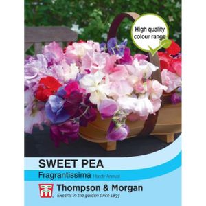 Thompson & Morgan Sweet Pea Fragrantissima
