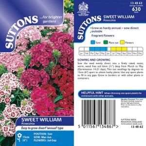 Suttons Sweet William Pinnochio