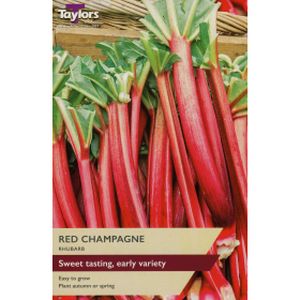 Taylors Rhubarb Red Champagne