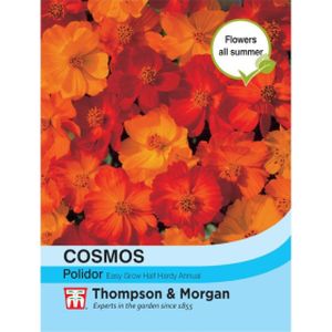 Thompson & Morgan Cosmos Polidor