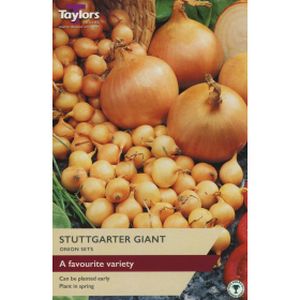Taylors Onion Stuttgarter Giant