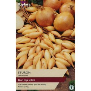 Taylors Onion Sturon