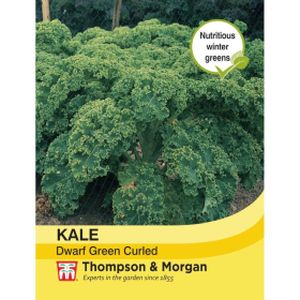 Thompson & Morgan Veg Kale Dwarf Green Curled