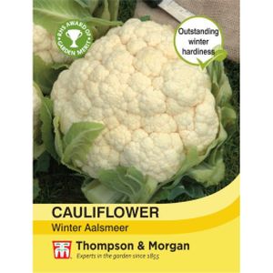 Thompson & Morgan Veg Cauliflower Winter Aalsmeer
