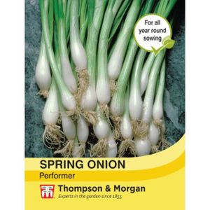 Thompson & Morgan Veg Spring Onion Performer