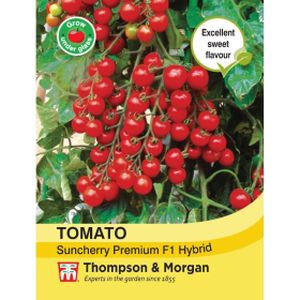 Thompson & Morgan Veg Tomato Suncherry Premium F1 Hybrid