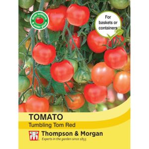 Thompson & Morgan Veg Tomato Tumbling Tom Red