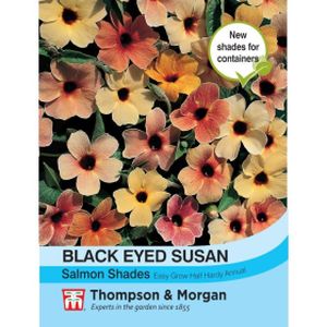 Thompson & Morgan Black Eyed Susans Salmon Shades Seeds