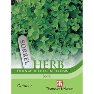 Thompson & Morgan Herb Sorrel Seeds