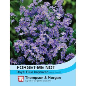 Thompson & Morgan Forget-me-not Royal Blue Improved (Myosotis)