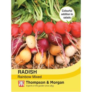 Thompson & Morgan Veg Radish Rainbow Mixed