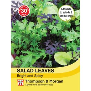 Thompson & Morgan Veg Salad Leaves - Bright And Spicy