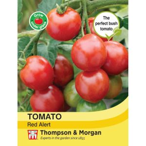 Thompson & Morgan Veg Tomato Red Alert (Bush)