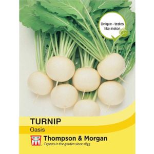 Thompson & Morgan Veg Turnip Oasis