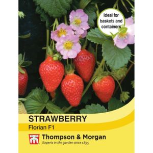 Thompson & Morgan Veg Strawberry Florian F1