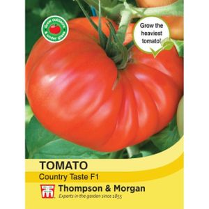 Thompson & Morgan Veg Tomato Country Taste F1 Hybrid