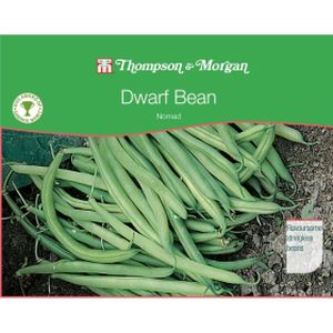 Thompson & Morgan Veg Dwarf Bean Nomad
