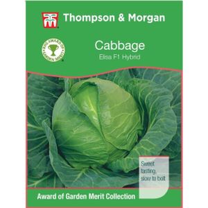 Thompson & Morgan Veg Cabbage Elisa F1