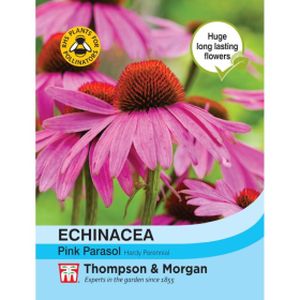 Thompson & Morgan Echinacea Pink Parasol Seeds