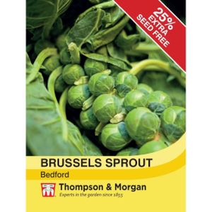 Thompson & Morgan Veg Brussels Sprout Bedford