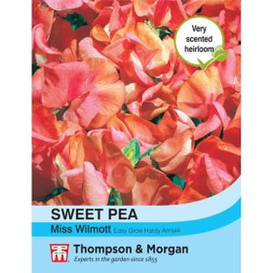 Thompson & Morgan Sweet Pea Miss Willmott Seeds