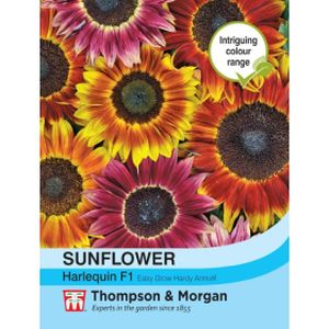 Thompson & Morgan Sunflower Harlequin Mix F1