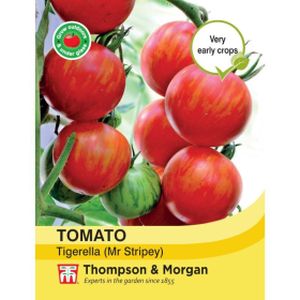 Thompson & Morgan Veg Tomato Tigerella (Mr Stripey)