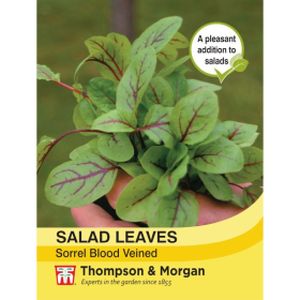 Thompson & Morgan Veg Salad Leaves - Sorrel Blood Veined