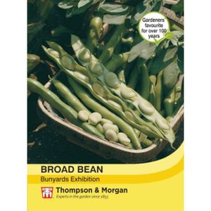 Thompson & Morgan Veg Broad Bean Bunyards Exhibition
