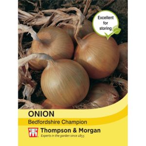 Thompson & Morgan Veg Onion Bedfordshire Champion