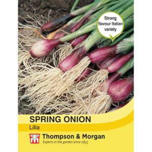 Thompson & Morgan Veg Onion Lilia