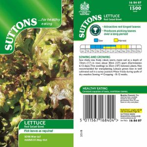 Suttons Veg Lettuce Red Salad Bowl