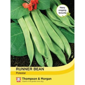 Thompson & Morgan Veg Runner Bean Polestar