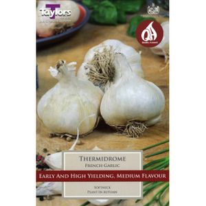 Taylors French Garlic Thermidrome