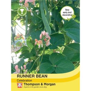 Thompson & Morgan Veg Runner Bean Celebration