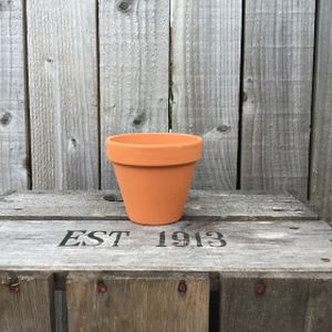 Woodlodge 8cm Spang Standard Pot