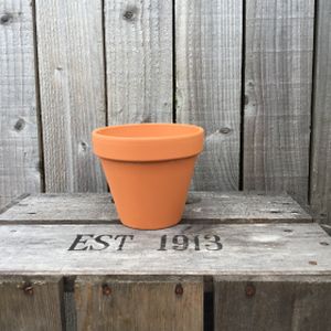 Woodlodge 12cm Spang Standard Pot