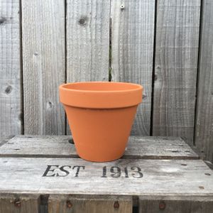 Woodlodge 14cm Spang Standard Pot